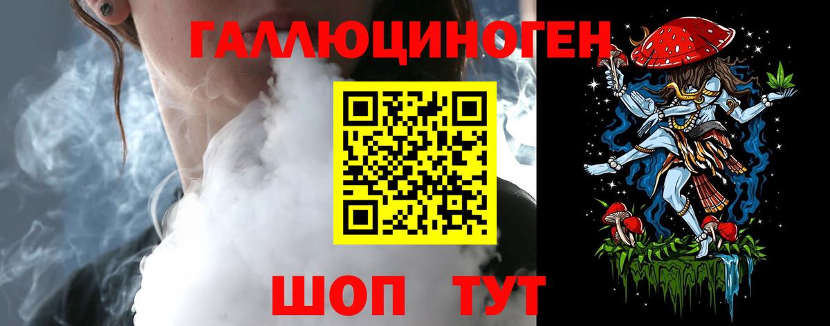 Псилоцибиновые грибы Psilocybe Сафоново